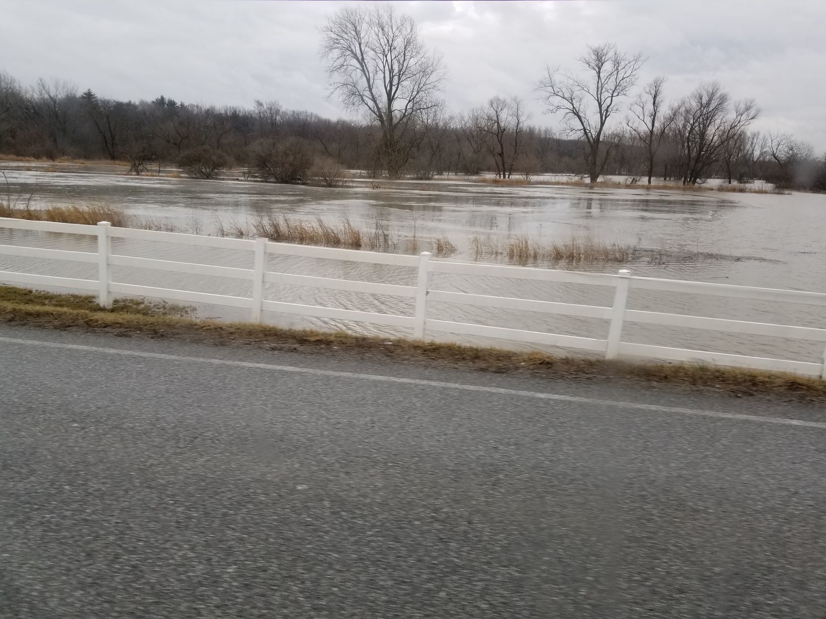 Flood